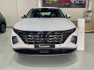 Cầm lái 700 km ‘lên rừng, xuống biển’: Đã hiểu vì sao Hyundai Tucson 2022 đắt khách